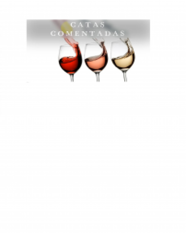 SEMANA SANTA Cata de vinos+Museo del vino+castillo SEMANA SANTA Cata de vinos+Museo del vino+castillo