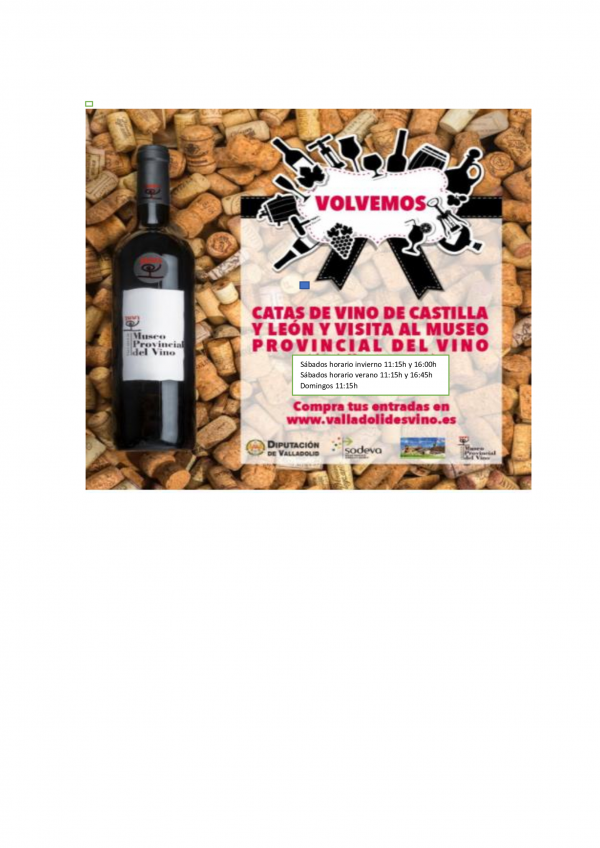B) Cata de vino, visita al Museo y al Castillo. B) Cata de vino, visita al Museo y al Castillo.