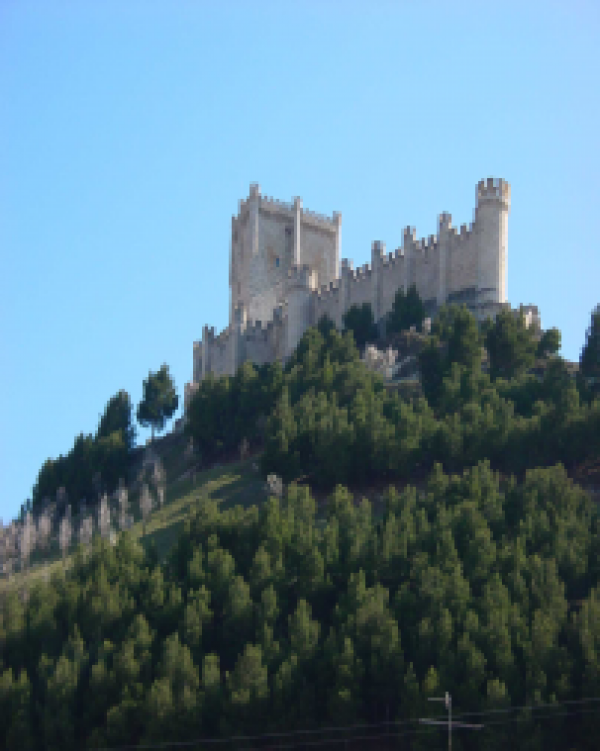 SEMANA SANTA visita al museo Prov.del vino y Castillo Peñafiel SEMANA SANTA visita al museo Prov.del vino y Castillo Peñafiel