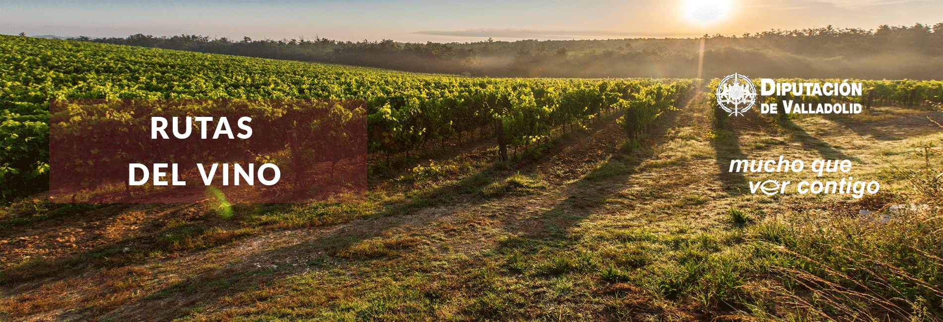 Rutas del Vino